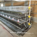 Provide Australia with the most advantageous egg layer chicken cage